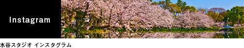 banner_instagram.jpg